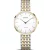 Bering Titanium reloj de mujer 19334-010