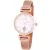 Astron reloj de mujer 8038-0